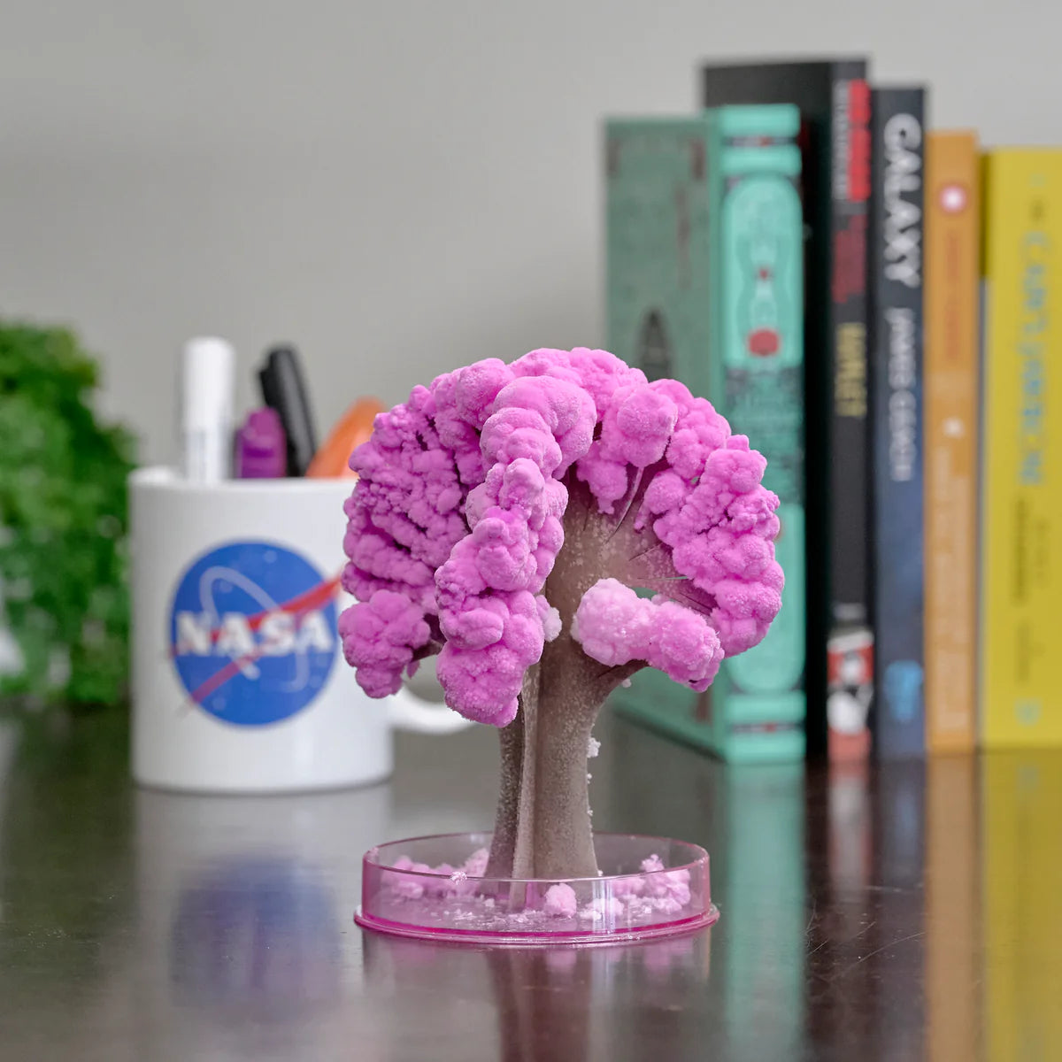 MAGIC SAKURA TREE